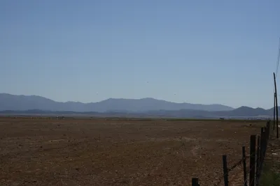 ENSC00746.jpg